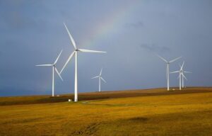 FCA finds ESG funds ‘not meeting expectations’
