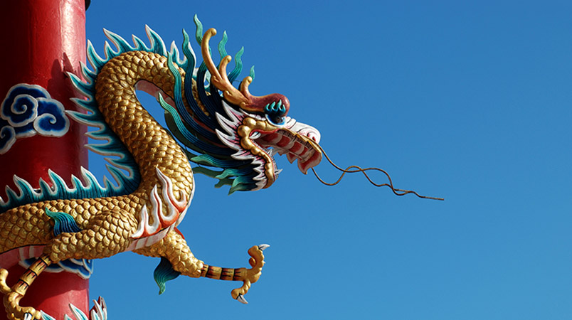 Another animal dragon That the Chinese people respect and worship, pay homage to fortune